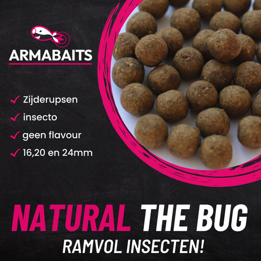 Bug Insecten Natuurlijk
